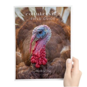 countryside field guide
